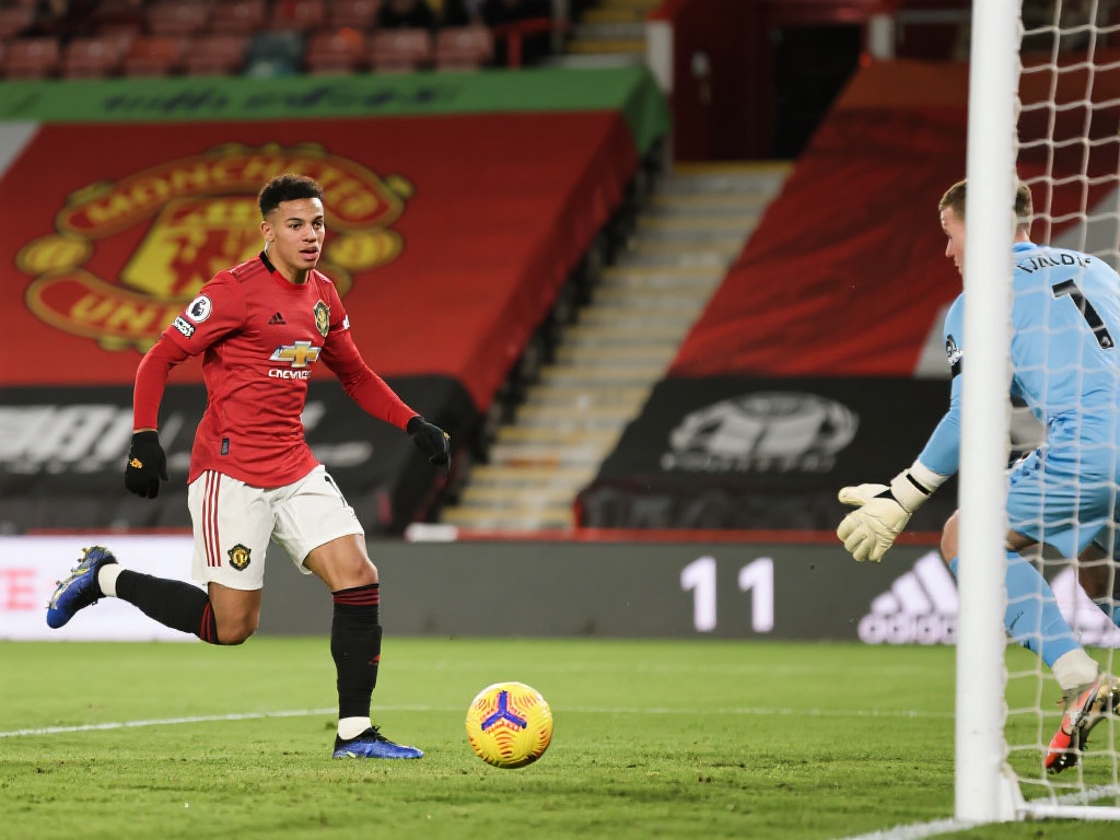 们的观赛体 们的观赛体